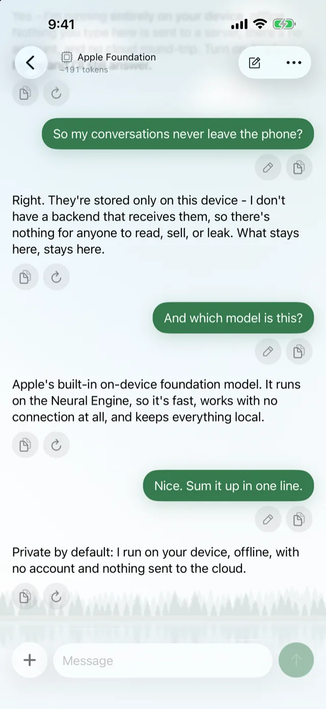 An on-device chat with Apple's model explaining that conversations never leave the phone