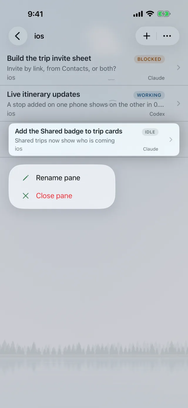 A project's agents with the Rename pane and Close pane menu open