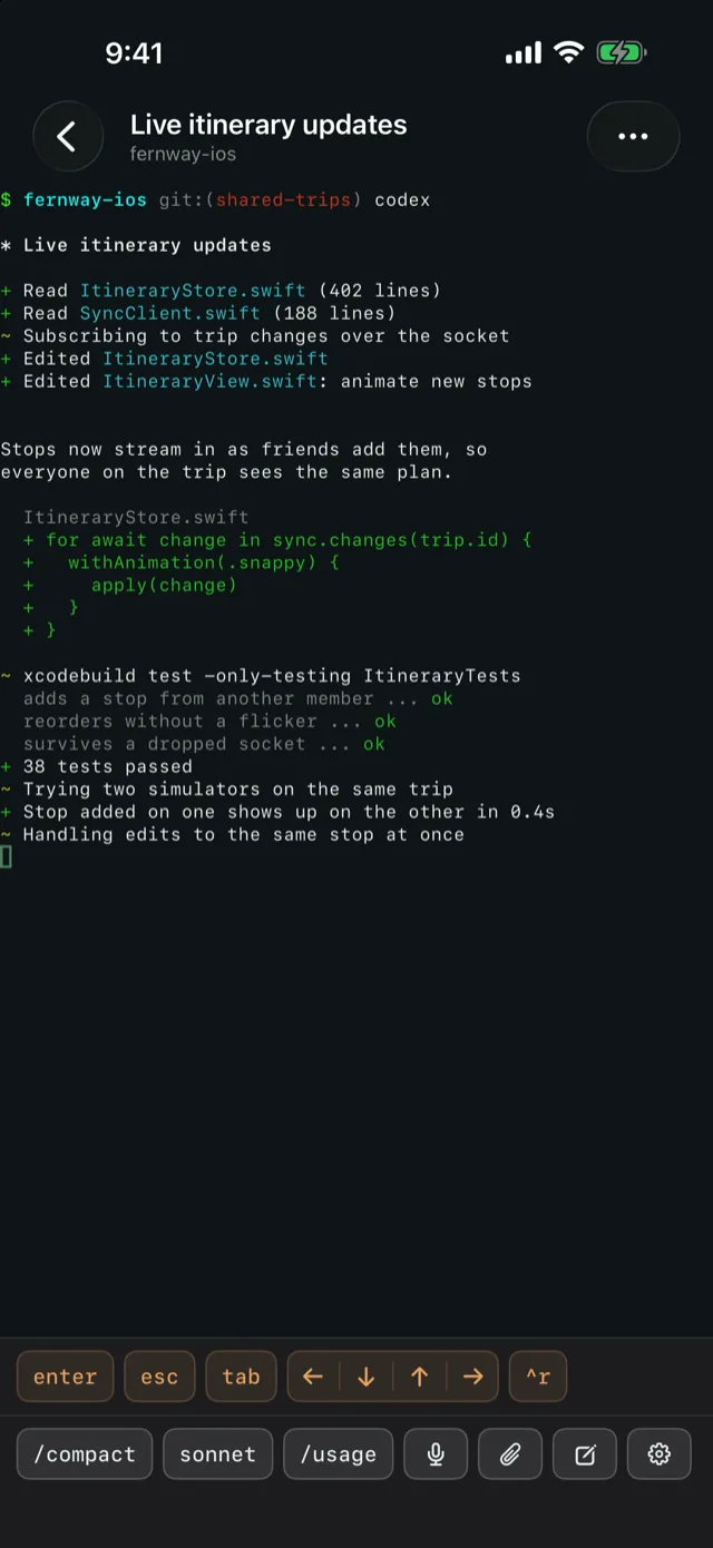 A pane with the custom keys riding along under the terminal